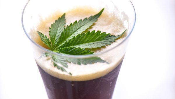 Detail of cold glass of beer with cannabis leaf isolated over white, marijuana infused beverage concept
