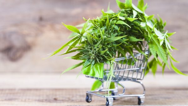 Cannabis in a shopping trolley