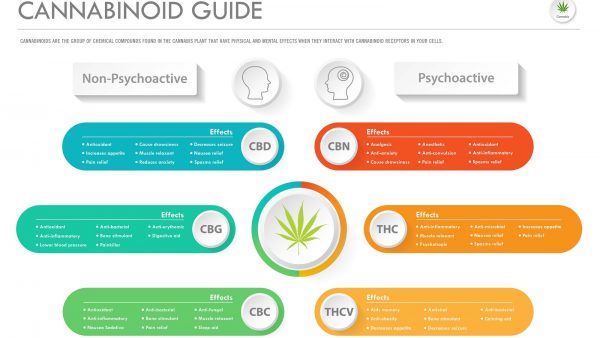 Producers are leading the way with research and development of lesser known cannabinoids such as CBG, CBN, THCV, and Delta 8.