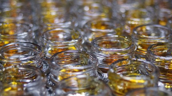 On February 26, Aurora Cannabis issued a recall for two lots of San Rafael '71 OG Chemdawg live resin extract.
