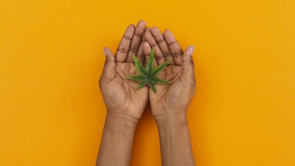 ﻿ Black, Indigenous, and People of Colour (BIPOC) are historical keepers of the land. This article explores the history of North America’s BIPOC and cannabis.